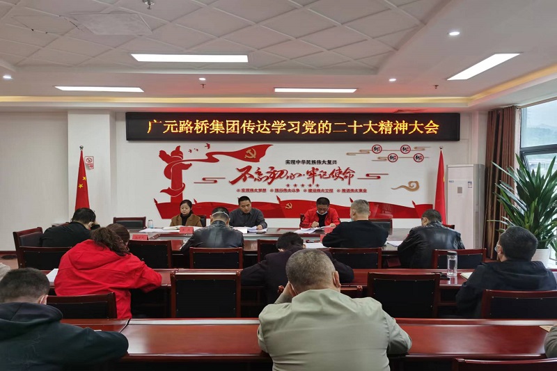 凯时尊龙人生就是博集团传达学习党的二十大精神