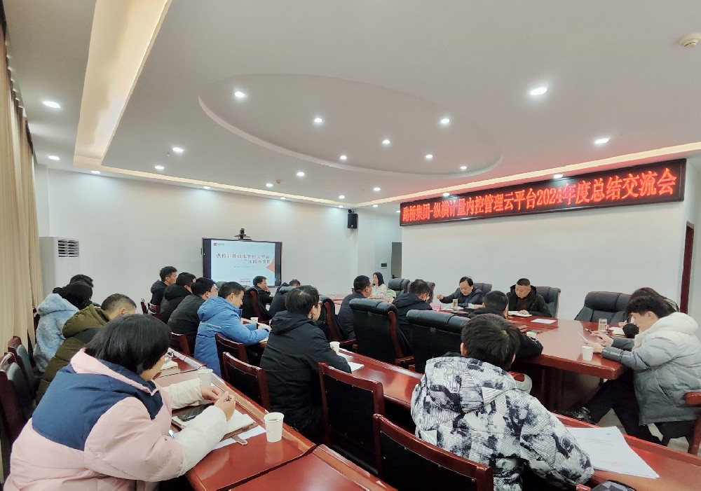 凯时尊龙人生就是博集团携手纵横计量内控管理云平台召开2024年度总结交流会